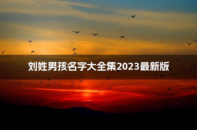 刘姓男孩名字大全集2023最新版