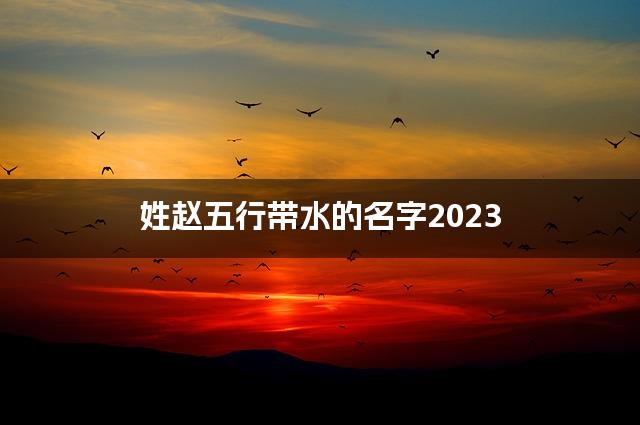 姓赵五行带水的名字2023